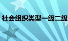 社会组织类型一级二级区别（社会组织类型）