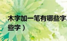 木字加一笔有哪些字25个（木字加一笔有哪些字）