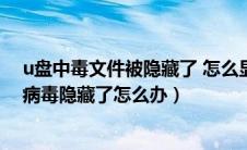 u盘中毒文件被隐藏了 怎么显示出来（u盘中毒后文件夹被病毒隐藏了怎么办）