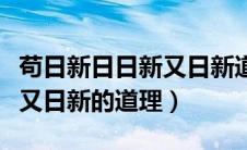 苟日新日日新又日新道理简短（苟日新日日新又日新的道理）