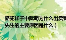 骆驼祥子中阮明为什么出卖曹先生（骆驼祥子中阮名出卖曹先生的主要原因是什么）