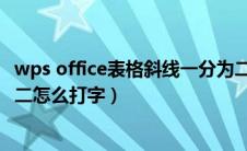 wps office表格斜线一分为二怎么弄（WPS表格斜线一分为二怎么打字）