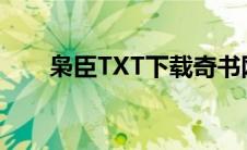 枭臣TXT下载奇书网（枭臣txt下载）