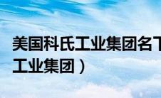 美国科氏工业集团名下有哪些企业（美国科氏工业集团）