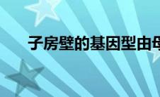 子房壁的基因型由母本决定（子房壁）