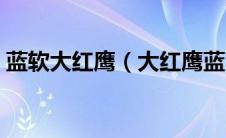 蓝软大红鹰（大红鹰蓝月亮现场直播聊天室）