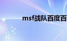 msf战队百度百科（msf战队）