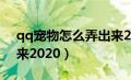 qq宠物怎么弄出来2024（qq宠物怎么弄出来2020）