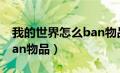 我的世界怎么ban物品指令（我的世界怎么ban物品）