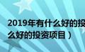 2019年有什么好的投资项目吗（2019年有什么好的投资项目）