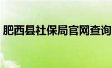 肥西县社保局官网查询（肥西县社保局官网）