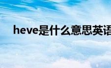 heve是什么意思英语（hev是什么意思）