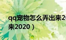 qq宠物怎么弄出来2024（qq宠物怎么弄出来2020）