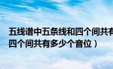 五线谱中五条线和四个间共有几个音位（五线谱的五条线和四个间共有多少个音位）