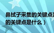 鼻拭子采集的关键点是什么? A（鼻拭子采集的关键点是什么）