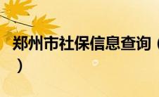 郑州市社保信息查询（郑州市社保查询网官网）