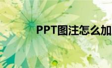 PPT图注怎么加（图注怎么加）