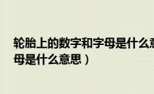 轮胎上的数字和字母是什么意思102H（轮胎上的数字和字母是什么意思）