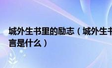 城外生书里的励志（城外生书传家宝这两本书关于励志的名言是什么）