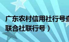 广东农村信用社行号查询（广东省农村信用社联合社联行号）