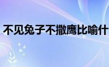 不见兔子不撒鹰比喻什么（不见兔子不撒鹰）