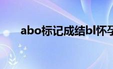 abo标记成结bl怀孕（abo标记成结）