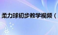 柔力球初步教学视频（柔力球入门基本动作）