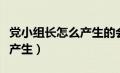 党小组长怎么产生的会议记录（党小组长怎么产生）