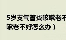 5岁支气管炎咳嗽老不好怎么办（支气管炎咳嗽老不好怎么办）