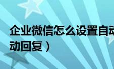 企业微信怎么设置自动回复（微信怎么设置自动回复）