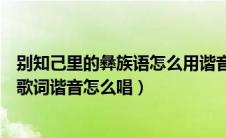 别知己里的彝族语怎么用谐音唱（别知己歌曲中那几句彝族歌词谐音怎么唱）