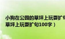 小狗在公园的草坪上玩耍扩句100字接皮球（小狗在公园的草坪上玩耍扩句100字）