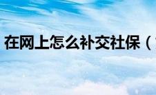 在网上怎么补交社保（如何在网上补缴社保）