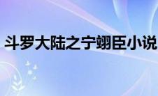 斗罗大陆之宁翊臣小说（斗罗大陆之宁舞灵）