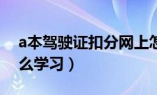 a本驾驶证扣分网上怎么学（a本扣分网上怎么学习）