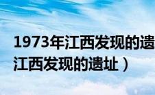 1973年江西发现的遗址是什么意思（1973年江西发现的遗址）