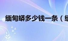 缅甸蟒多少钱一条（缅甸陆龟多少钱一只）