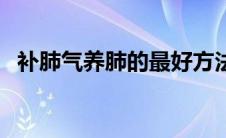 补肺气养肺的最好方法（养肺的最好方法）