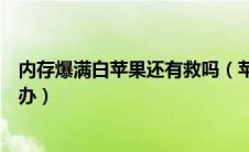 内存爆满白苹果还有救吗（苹果手机内存满了开不了机怎么办）