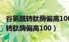 谷氨酰转肽酶偏高100是怎么回事儿（谷氨酰转肽酶偏高100）