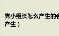 党小组长怎么产生的会议记录（党小组长怎么产生）