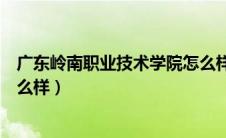 广东岭南职业技术学院怎么样啊（广东岭南职业技术学院怎么样）