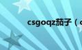 csgoqz茄子（csgo茄子百科）