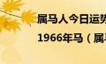 属马人今日运势及运程|1966年马（属马人今日运势）