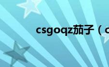 csgoqz茄子（csgo茄子百科）