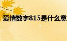 爱情数字815是什么意思（815是什么意思）