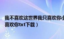 我不喜欢这世界我只喜欢你小说百度（我不喜欢这世界我只喜欢你txt下载）