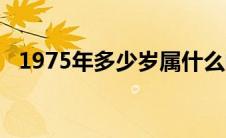 1975年多少岁属什么的（1975年多少岁）