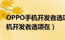 OPPO手机开发者选项在哪个地方（oppo手机开发者选项在）