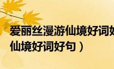 爱丽丝漫游仙境好词好句150句（爱丽丝漫游仙境好词好句）